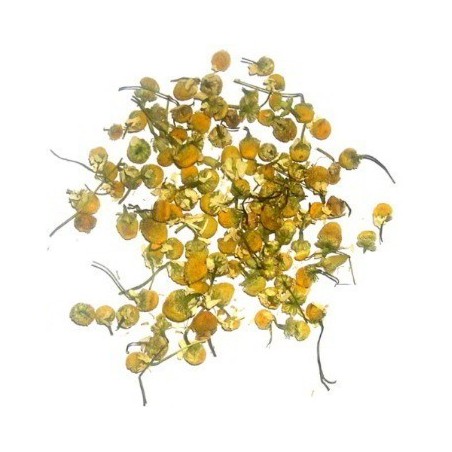 Flores de Camomila 1kg