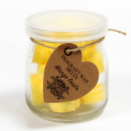 Soy Wax Bottles - Mango