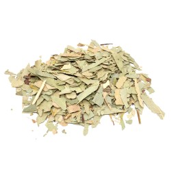 Eucalipto (foglia tagliata) Eucalipto (foglia...
