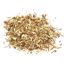 Johanniskraut (geschnittene Pflanze) Hypericum...
