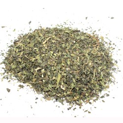 Green nettle (cut leaf) Green nettle (cut leaf)...