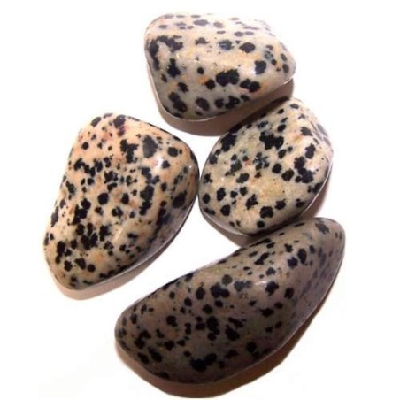 L Tumble Stones - Dalmata - 24 unitats