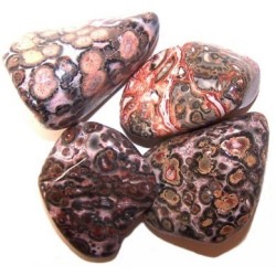 L Tumble Stones - Leopard Skin - 24 unidades