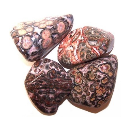 L Tumble Stones – Luipaardhuid – 24 stuks