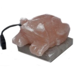 Lampada di sale dell'Himalaya a forma di rospo...