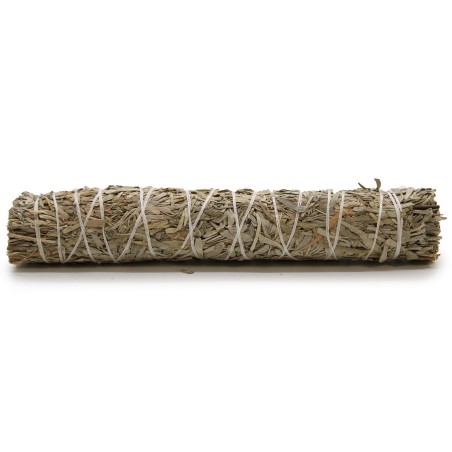 Lligat d'Herba - Salvia Blava 22.5 cm
