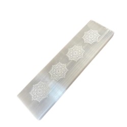 Placa de Carregamento para Barra Flat 15cm -...