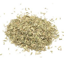 Hinojo (en grano) Fennel (grain) 1Kg