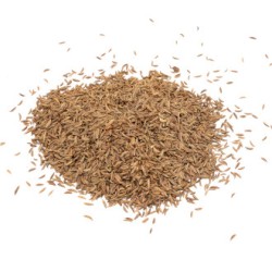 Alcaravea (en grano) Caraway (grain) 1Kg