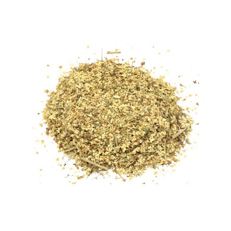 Sambuco (fiore) Sambuco (fiore) 1Kg