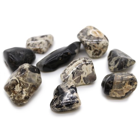 Piedras Naturales XL - Jaspe Plateado - 18 unidades
