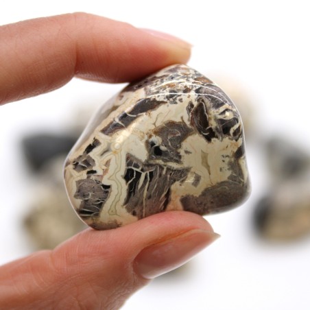 Piedras Naturales XL - Jaspe Plateado - 18 unidades