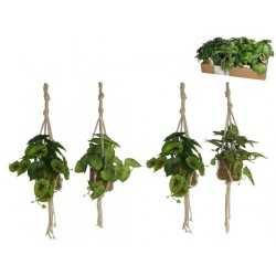 MACETA PLANTAS ALGAS PARA COLGAR 55CM (PRECIO...