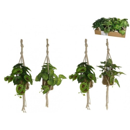 MACETA PLANTAS ALGAS PARA COLGAR 55CM (PRECIO POR UNIDAD) PLÁSTICO