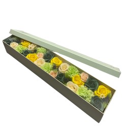 Extra lange doos - Lentefeesten - Geel en groen...