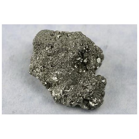 PYRIETVONK 3-4 CMS. (BESCHERMT EN TREKT RIJKDOM AAN)