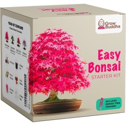 KIT INICIAL DE BONSAI - 4 TIPOS DIFERENTES -...