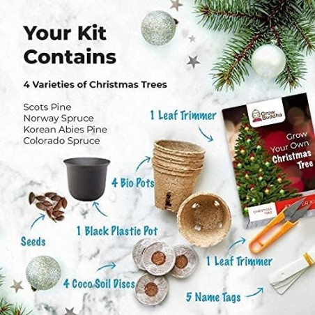KIT INICIO CULTIVA TU ARBOL DE NAVIDAD - GROW BUDDHA