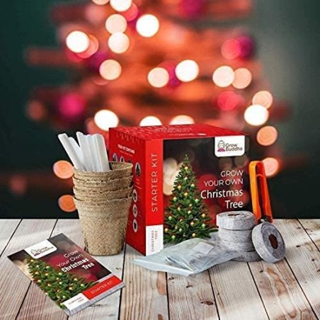 KIT INICIO CULTIVA TU ARBOL DE NAVIDAD - GROW BUDDHA