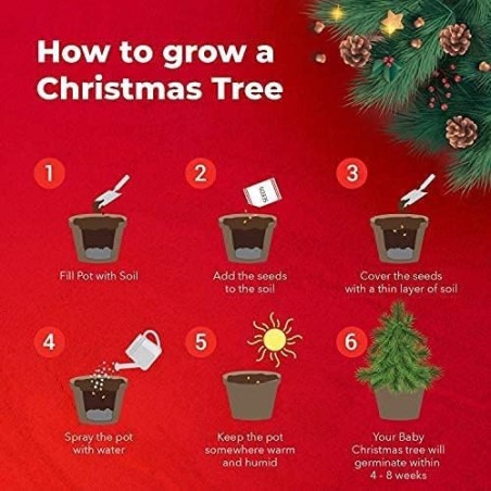 KIT INICIO CULTIVA TU ARBOL DE NAVIDAD - GROW BUDDHA