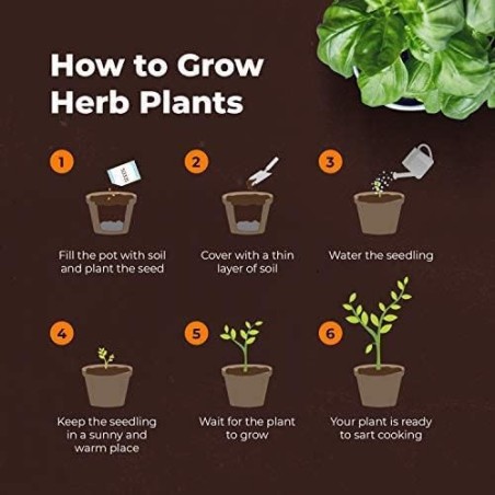 KIT JARDINERIA - CULTIVA 8 HIERBAS - GROW BUDDHA