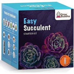 KIT JARDINERIA - SUCULENTAS - GROW BUDDHA