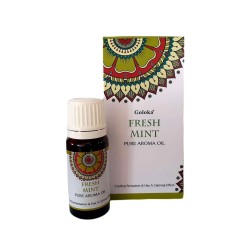FRISCHE MINZE ESSENZ AROMATISCHES ÖL - FRISCHE MINZE - GOLOKA - 10ml