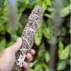 Sahumo de Lavanda Natural Sagrada Madre