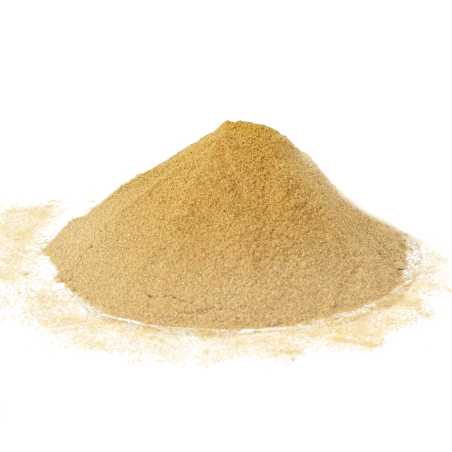 PALO SANTO EN POLVO - 15 GRAMOS - HOSTENATURA