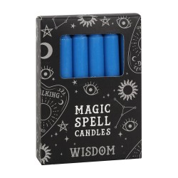 MAGICZNE ŚWIECE - ŚWIECE MAGICZNYCH ZAKŁÓW -...