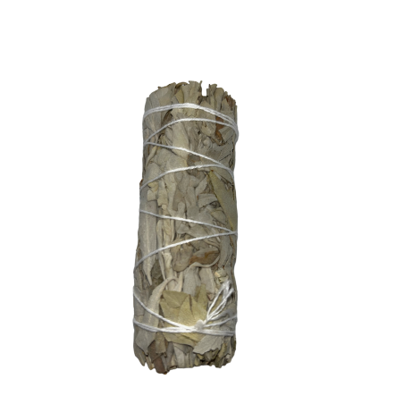 Inbunden Kalifornien White Sage | Ekologiskt och hållbart | 100% original | Rening, energirening och harmoni | 10 cm