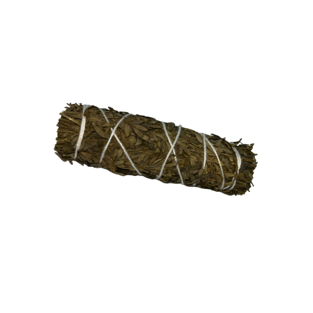 Rue koppelverkoop | Ecologisch en Duurzaam | 100% Origineel | Bescherming en reiniging | 10cm | 1 eenheid