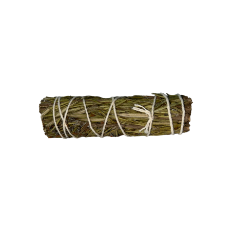 Lligat de Romero | Ecològic i Sostenible | 100% Original | Purificació i protecció | 10cm | 1 Unitat