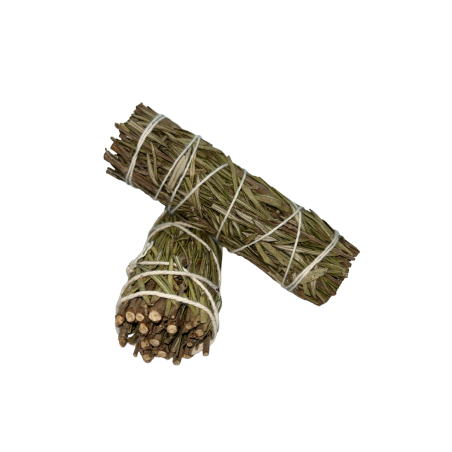 Pachet de rozmarin | Ecologic și durabil | 100% original | Purificare și protecție | 10 cm | 1 unitate