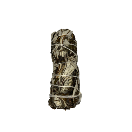 Ensemble Yerba Santa | Respectueux de l’environnement et durable | 100% original | Propreté et harmonie | 10 cm | 1 unité