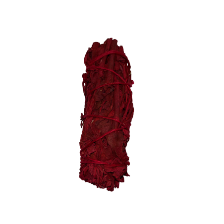 Blutbindung des Drachen | Umweltfreundlich & nachhaltig | 100% Original | Schutz und Reinigung von negativen Energien | ca. 10cm