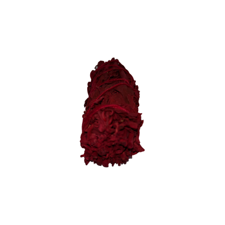 Dragon's Blood Bound | Ecologic și durabil | 100% original | Protecție și Curățare Energii Negative | 10 cm | 1 unitate