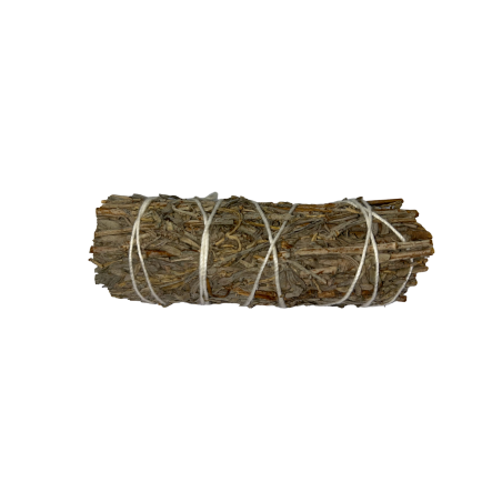 Pacote de Sábio Azul da Califórnia | Ecológico e Sustentável | 100% Originais | Purificação | 10cm | 1 unidade