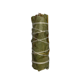 Eukalyptus binden | Umweltfreundlich &...