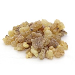 Resina de incenso extra NIGERIAN OLIBANUM |...