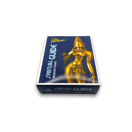 Guide spirituel des cônes d’encens PADMINI - 12 cônes - Parfum d’Inde