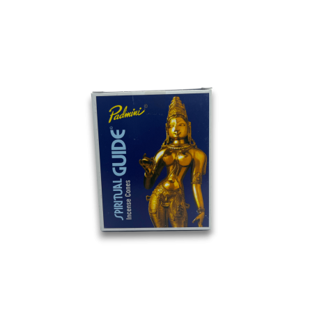 Przewodnik Duchowy PADMINI Kadzidełka - 12 stożków - Zapach z Indii