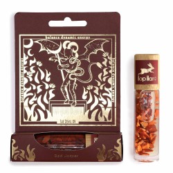 Roll On Hop Hare of Tarot The Devil Red Jasper...