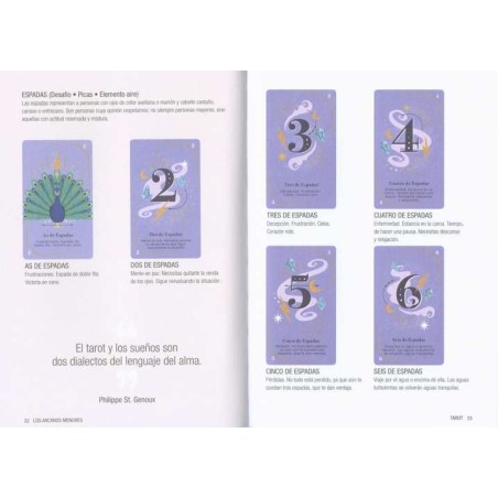 ELEVATE Alles om de tarot te lezen (Boek + Tarot Deck)