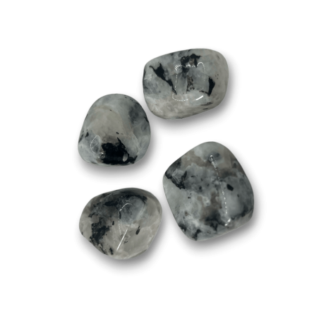 Ciottolo grande Pietra di luna - 4 cm circa. - 1 unità
