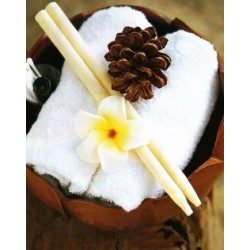 Par Velas de oido aromatica - Naranja  - 8