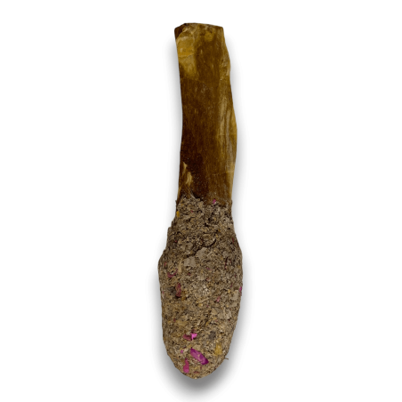 Pop Stick Palo Santo Witte Salie - Hostenatura - Diepe zuivering en energiezuivering