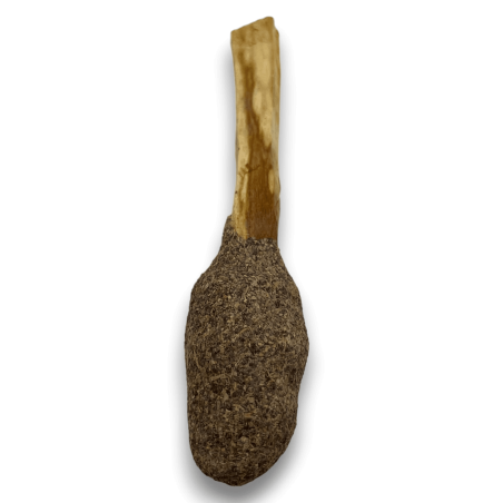 Pop Stick Palo Santo Salvia Negra - Hostenatura - Conexión Espiritual y Limpieza