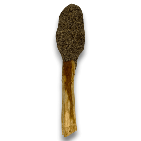 Pop Stick Palo Santo Black Sage - Hostenatura - Spiritual Connection and Cleansing