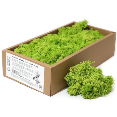 Musgo de Rena Verde Claro para decoração - 500gr.